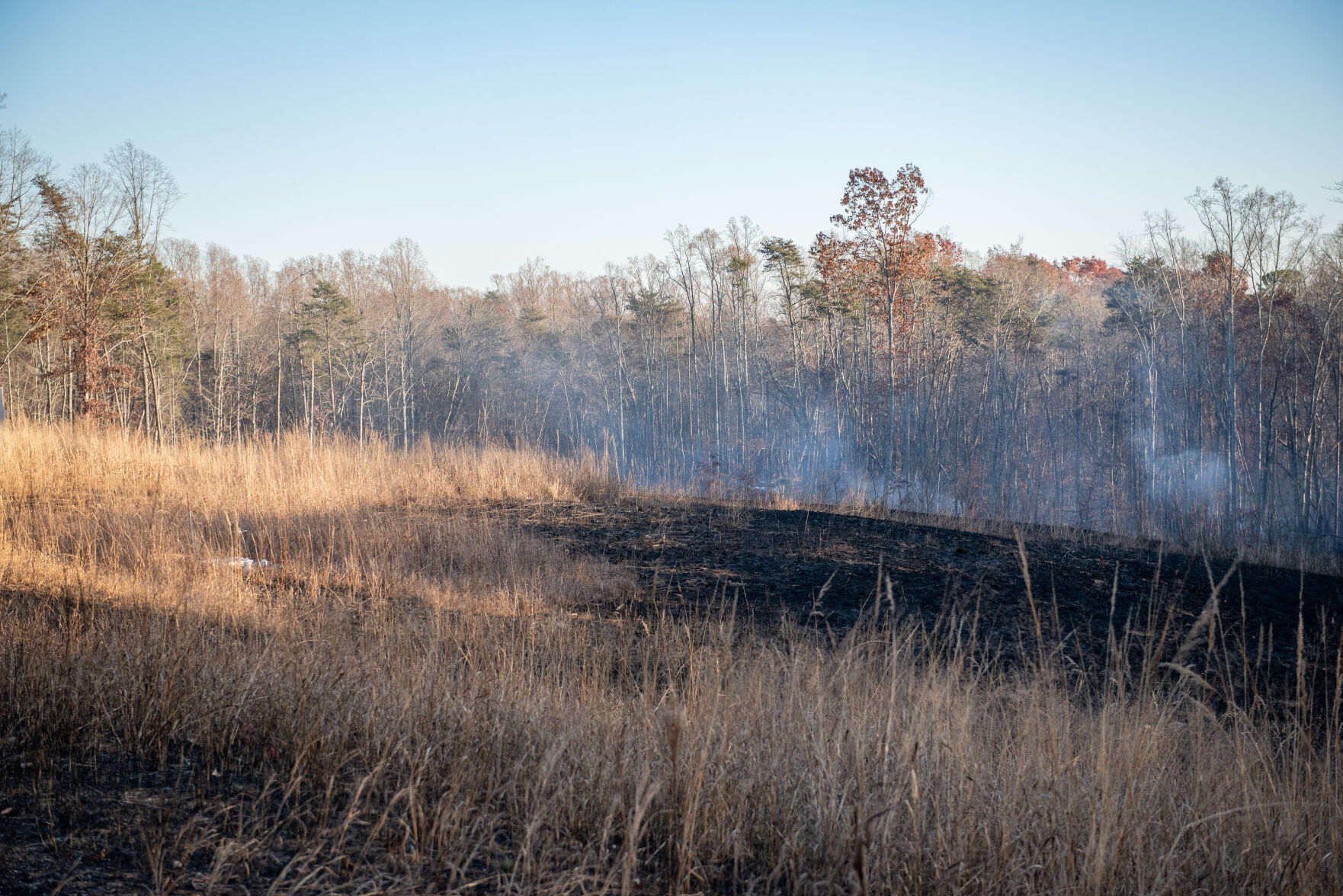 Pilot Mountain Fire Damage